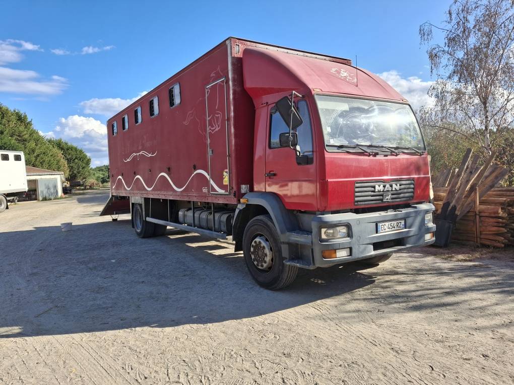 Zware paardenvrachtwagen (groot rijbewijs) Man x 2001 Tweedehands