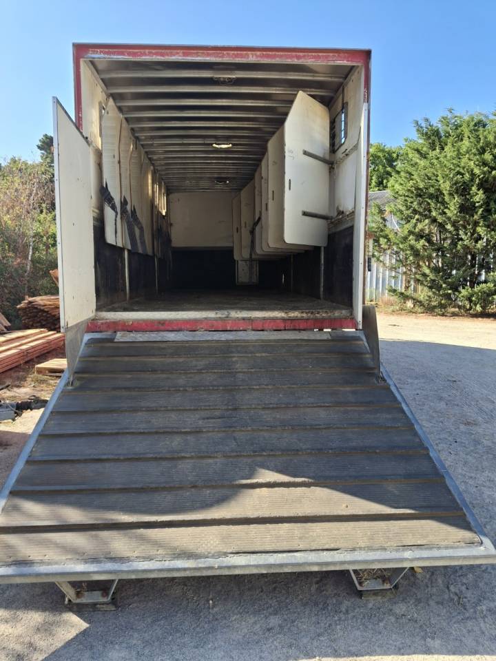 Zware paardenvrachtwagen (groot rijbewijs) Man x 2001 Tweedehands