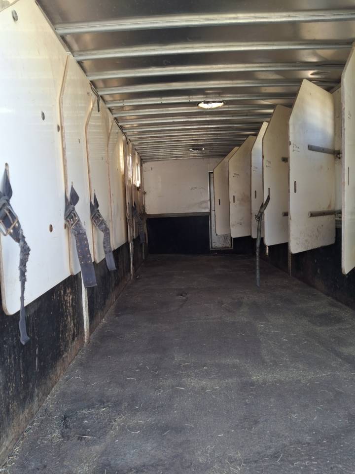 Zware paardenvrachtwagen (groot rijbewijs) Man x 2001 Tweedehands