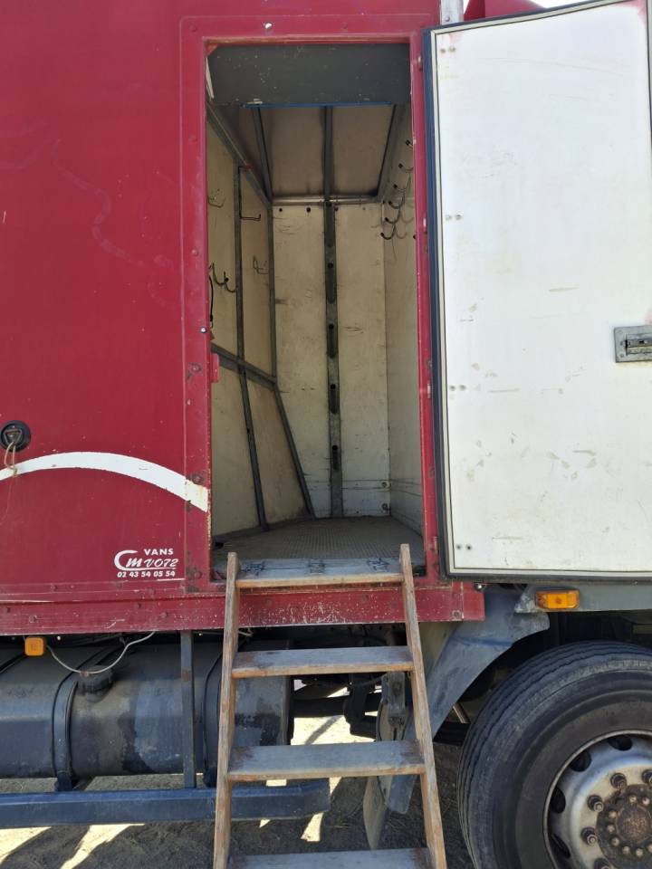 Zware paardenvrachtwagen (groot rijbewijs) Man x 2001 Tweedehands
