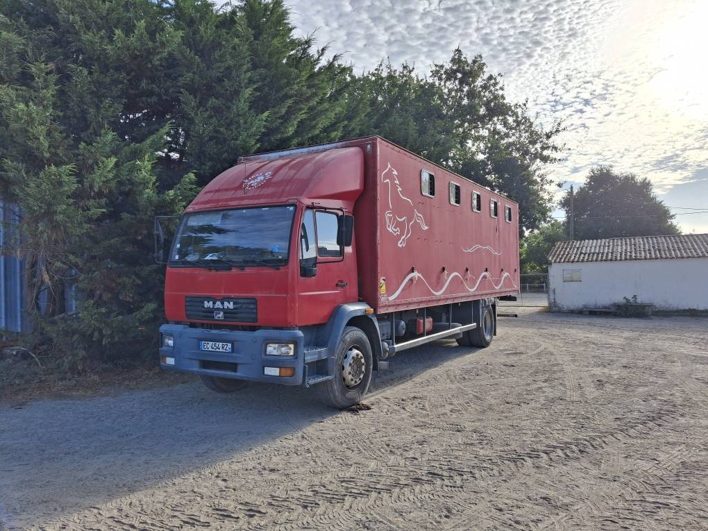 Zware paardenvrachtwagen (groot rijbewijs) Man x 2001 Tweedehands