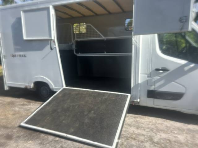 Kleine paardenvrachtwagen (B rijbewijs) Renault master 2020 Tweedehands