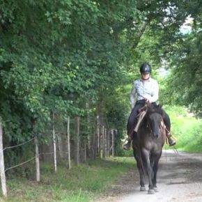 Merrie Quarter Horse Te koop 2020 Muisgrijs ,  JAZ GC DE PLATA
