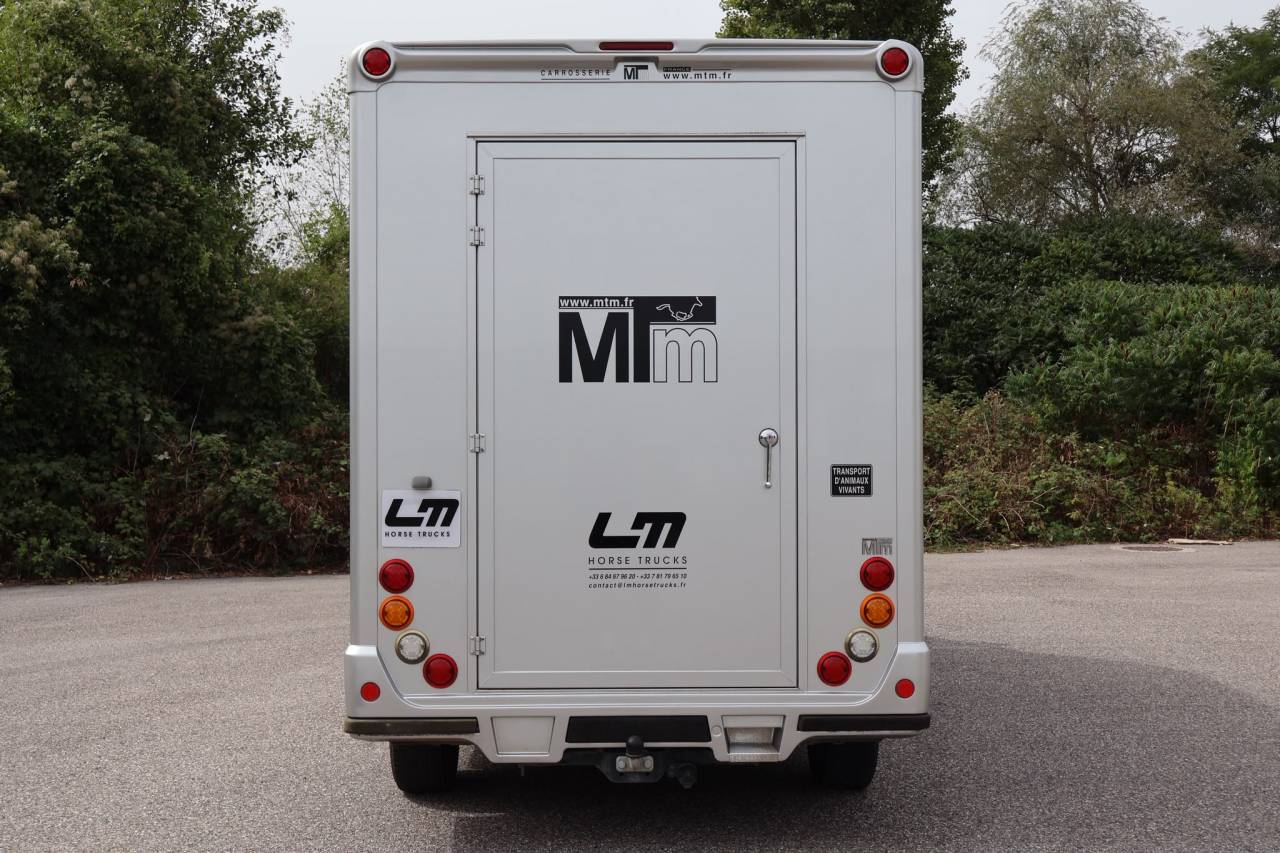 Kleine paardenvrachtwagen (B rijbewijs) MTM FILOVAN MASTER  2018 Tweedehands