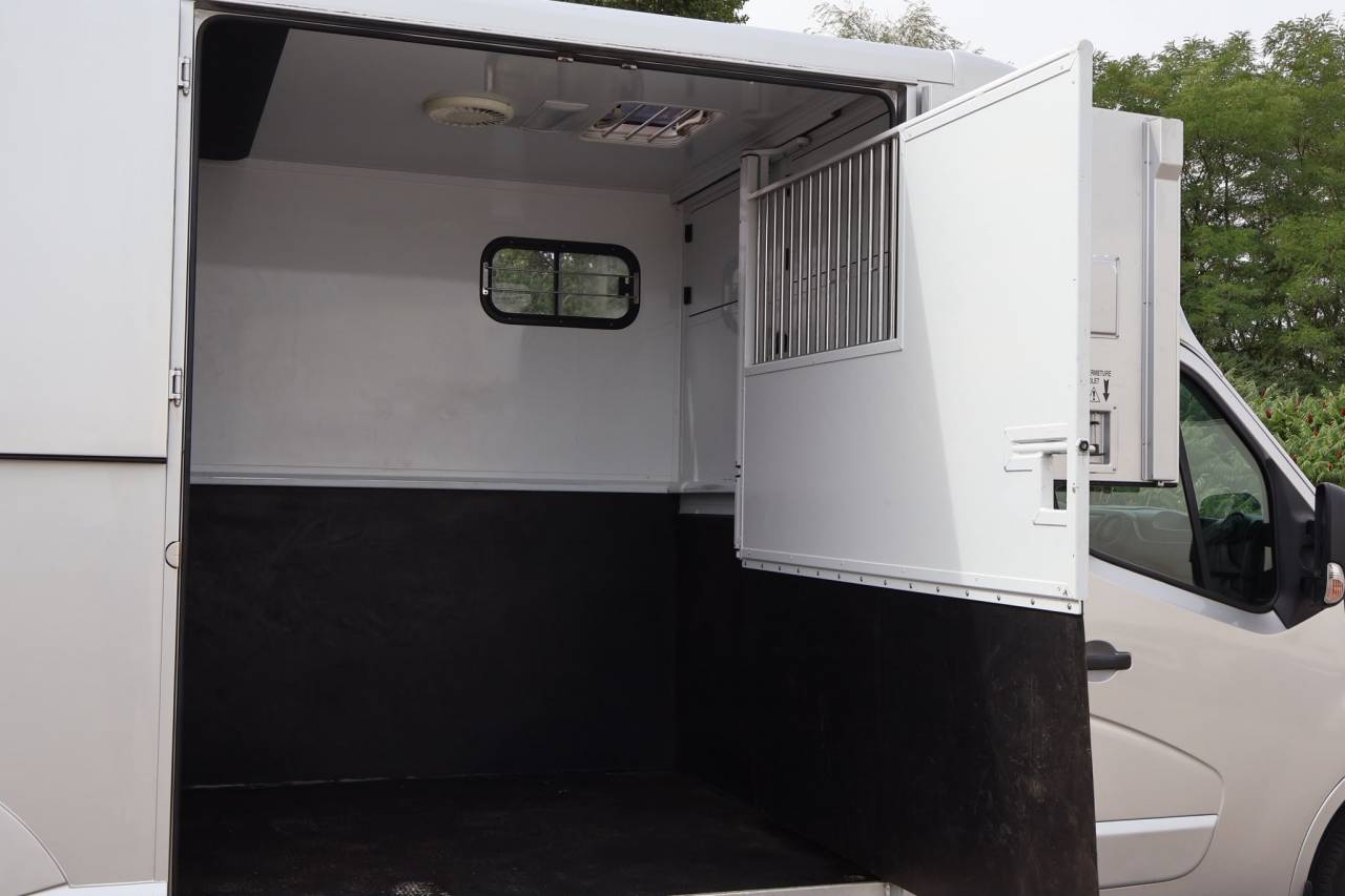 Kleine paardenvrachtwagen (B rijbewijs) MTM FILOVAN MASTER  2018 Tweedehands