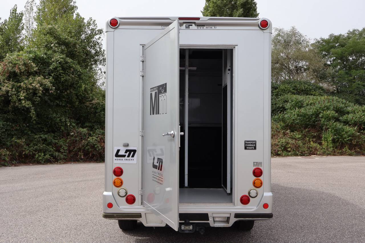 Kleine paardenvrachtwagen (B rijbewijs) MTM FILOVAN MASTER  2018 Tweedehands