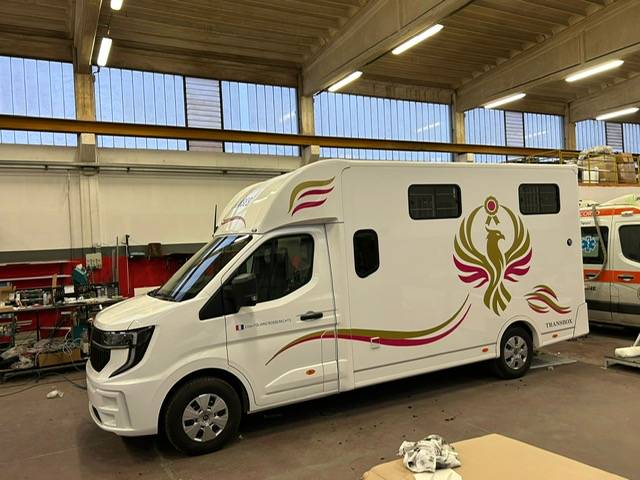 Kleine paardenvrachtwagen (B rijbewijs) Trans Box Svelto 10 2026 Nieuw