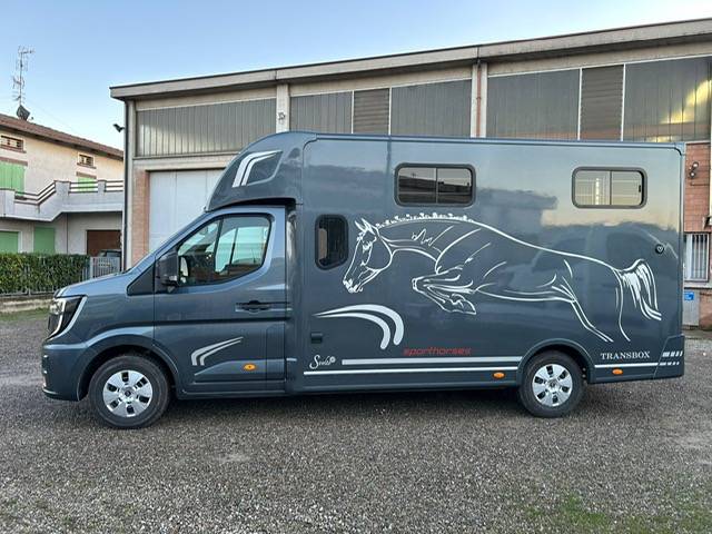 Kleine paardenvrachtwagen (B rijbewijs) Trans Box Svelto 10 2026 Nieuw