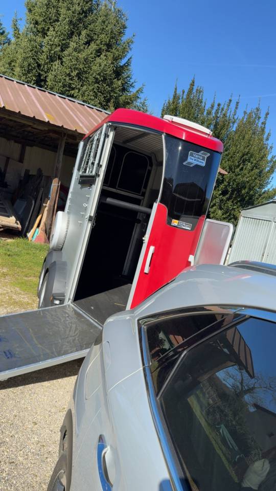 Paardentrailers Ifor Williams HBX 403 1,5 Paard 2024 Tweedehands