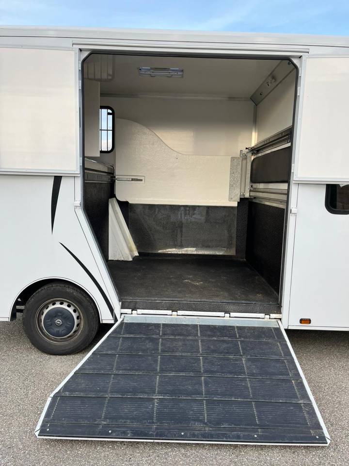 Kleine paardenvrachtwagen (B rijbewijs) Opel Movano - Cavalcar 2020 Tweedehands