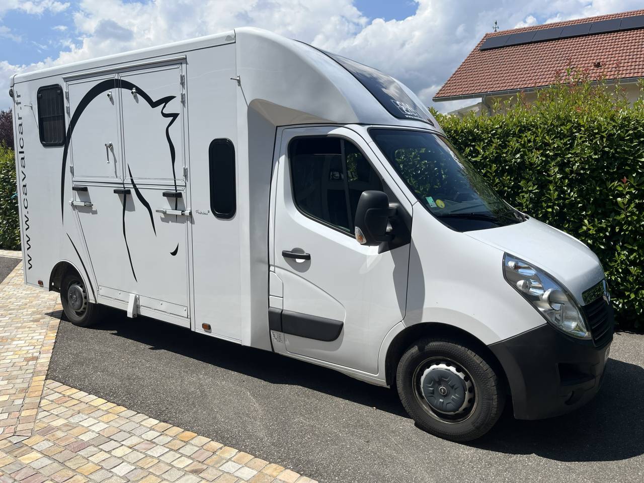 Kleine paardenvrachtwagen (B rijbewijs) Opel Movano - Cavalcar 2020 Tweedehands