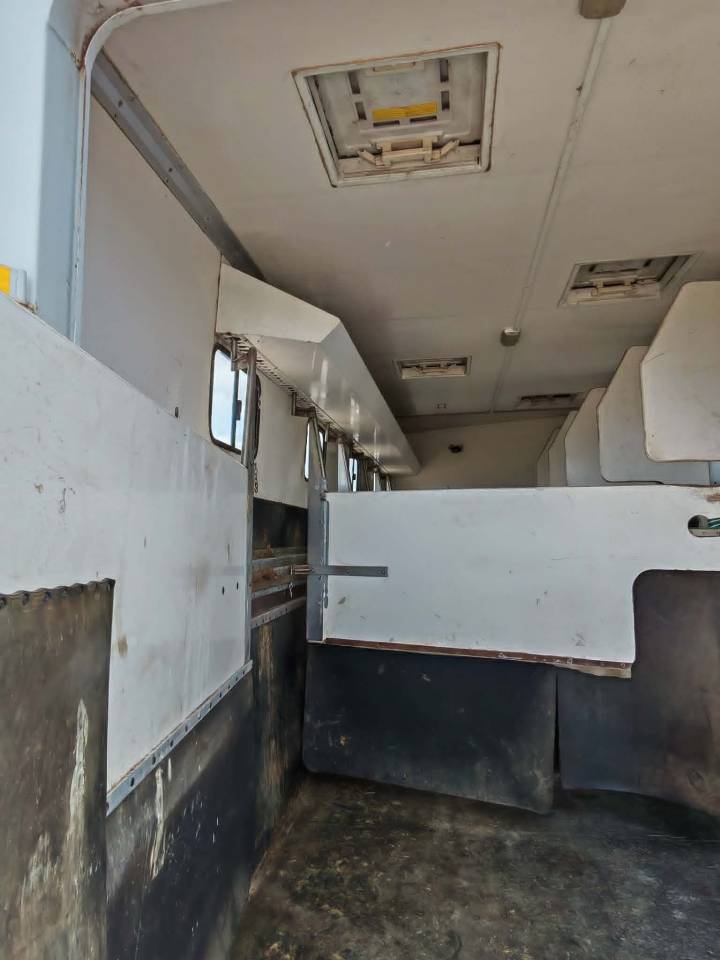 Zware paardenvrachtwagen (groot rijbewijs) Renault RENAULT PREMIUM 1999 Tweedehands