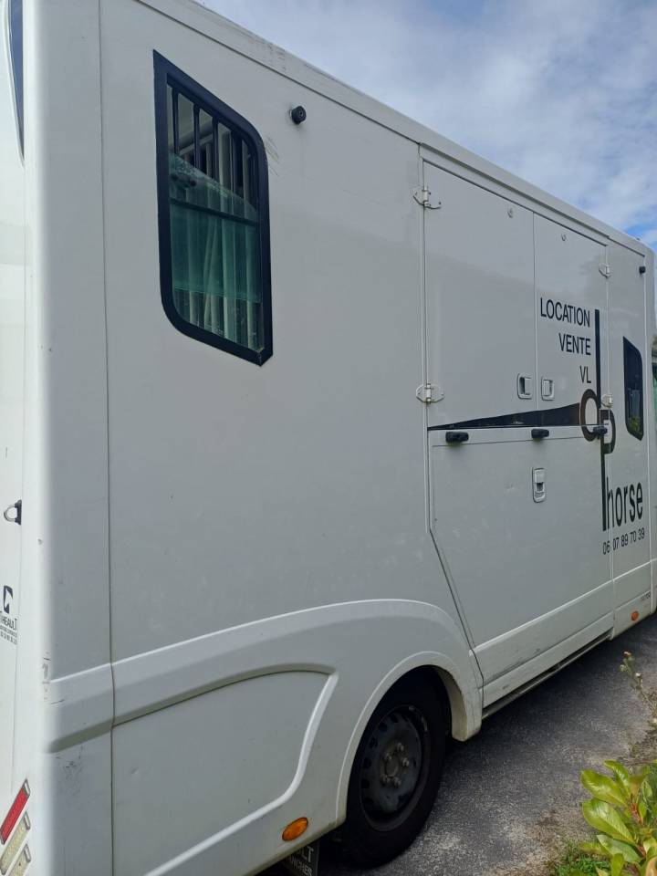 Kleine paardenvrachtwagen (B rijbewijs) Theault pro theault 2020 Tweedehands