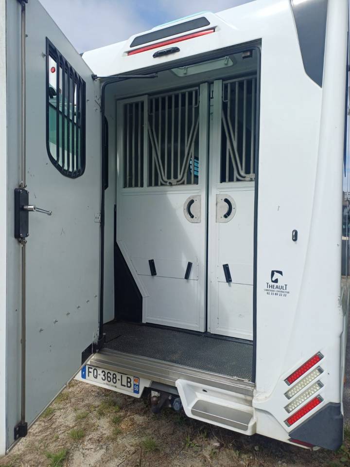 Kleine paardenvrachtwagen (B rijbewijs) Theault pro theault 2020 Tweedehands