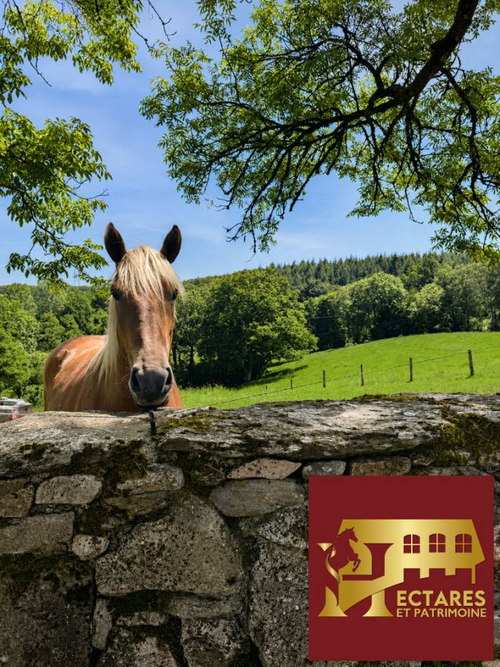 Paarden accommodatie Koop Lot