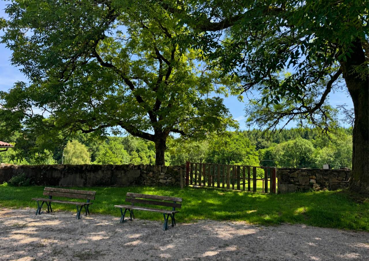 Paarden accommodatie Koop Lot