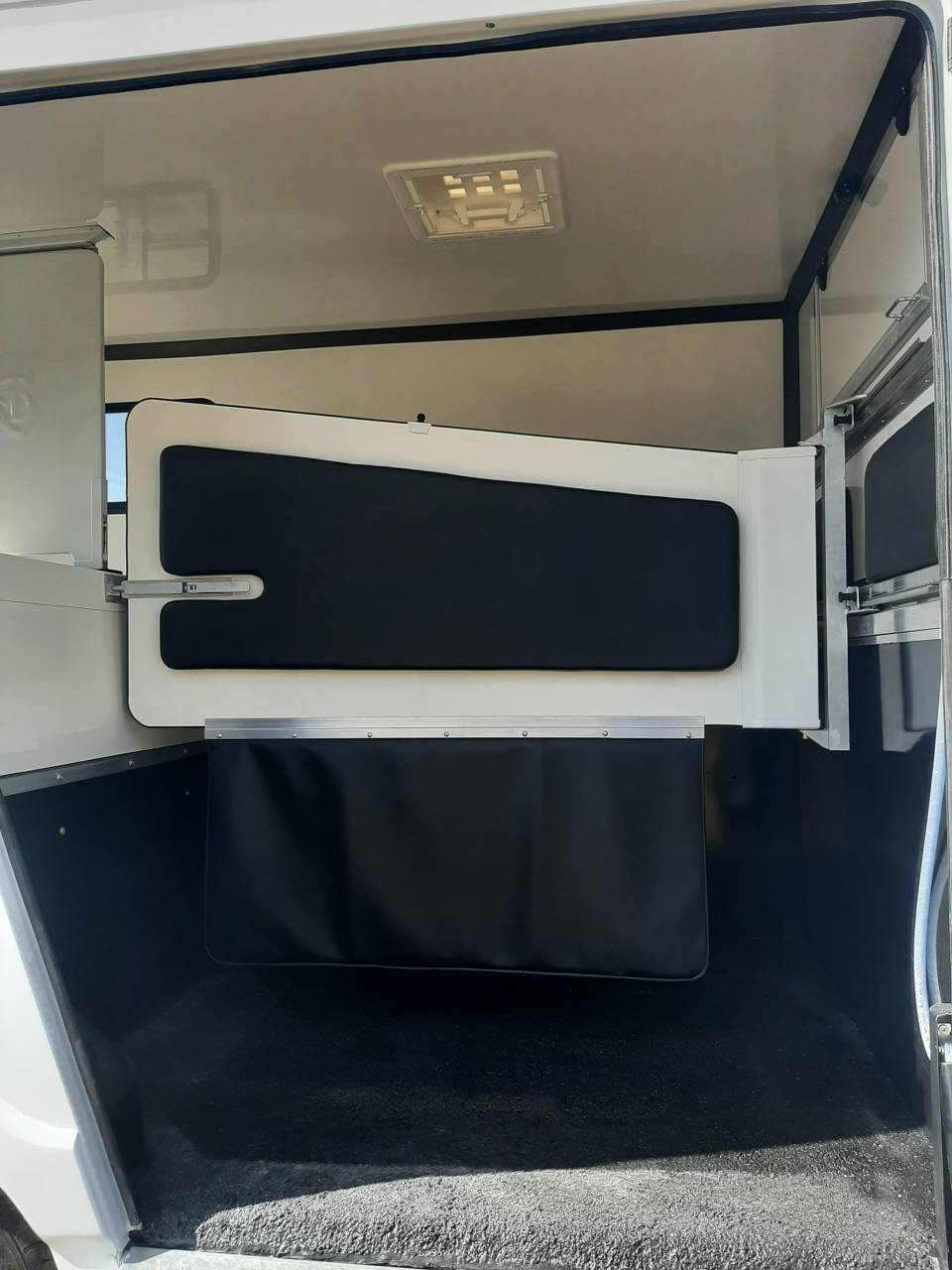 Kleine paardenvrachtwagen (B rijbewijs) Renault Master 2020 Tweedehands