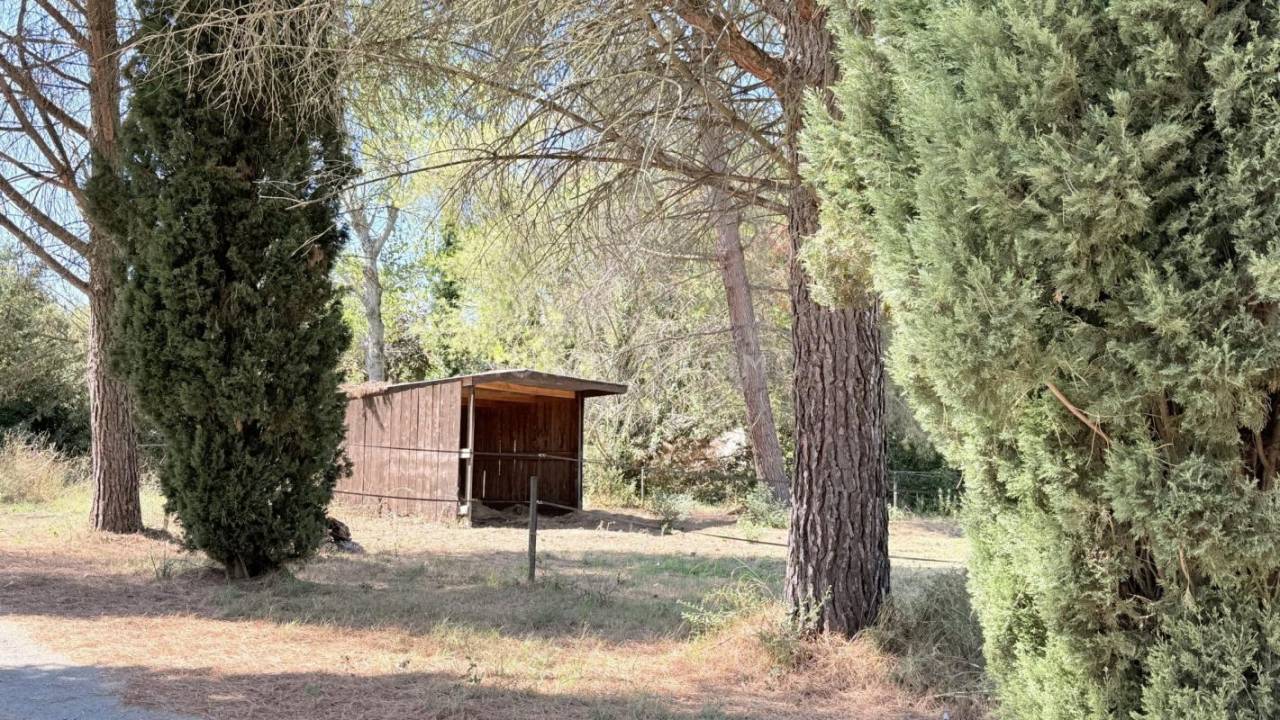 Hippisch vastgoed Koop H&eacute;rault