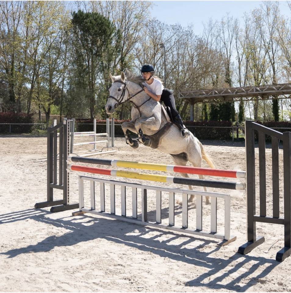 Merrie Franse rijpony PFS Half pension 2012 Schimmel