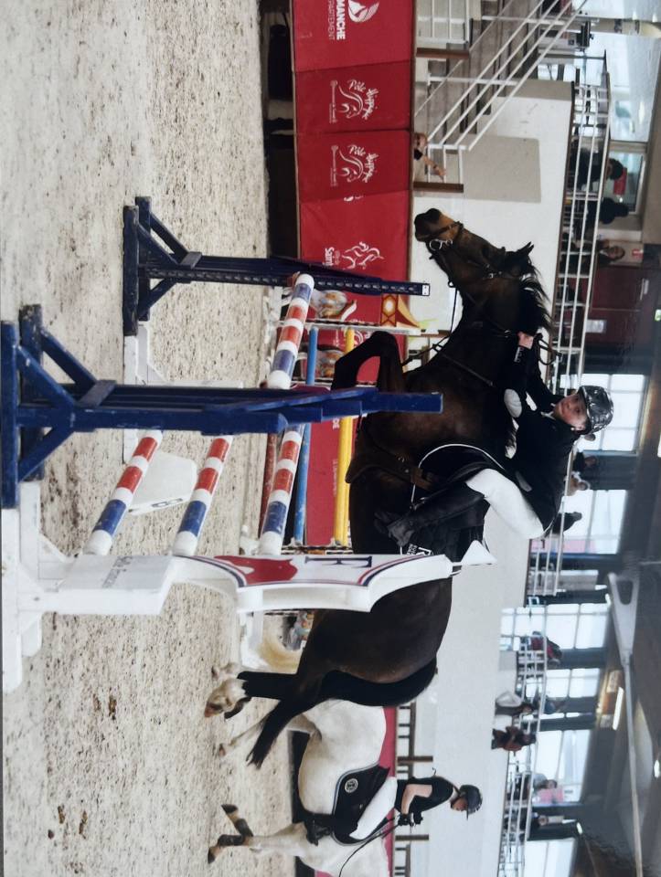 Merrie Franse rijpony PFS Te koop 2020 Donker bruin / bai ,  GOLIATH DES LONDES