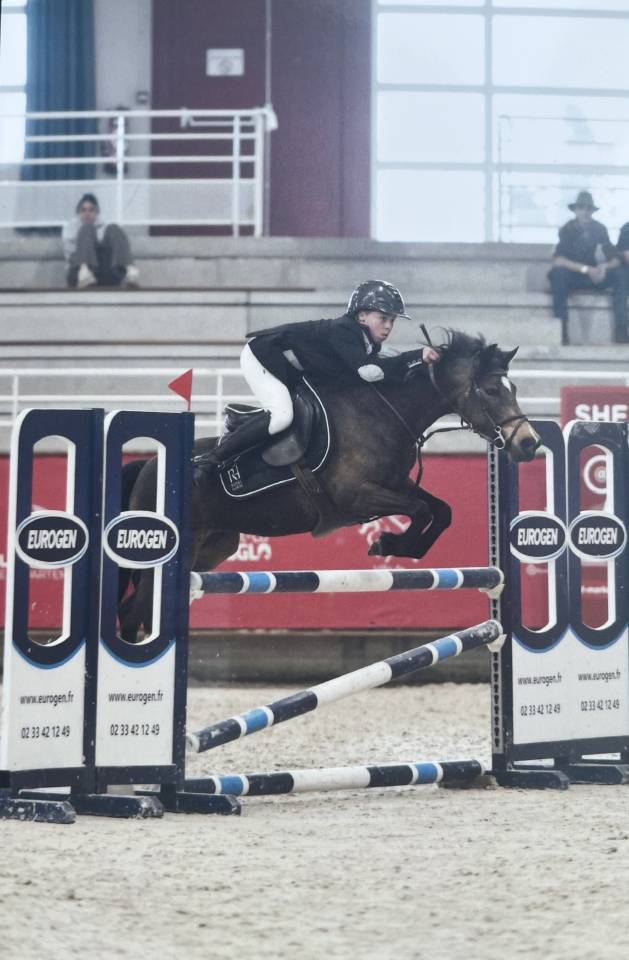 Merrie Franse rijpony PFS Te koop 2020 Donker bruin / bai ,  GOLIATH DES LONDES