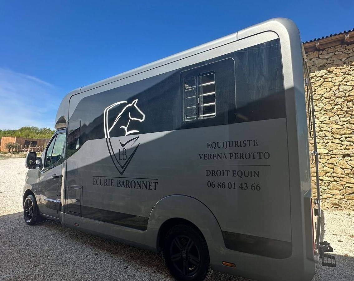 Kleine paardenvrachtwagen (B rijbewijs) Renault STX 2023 Tweedehands
