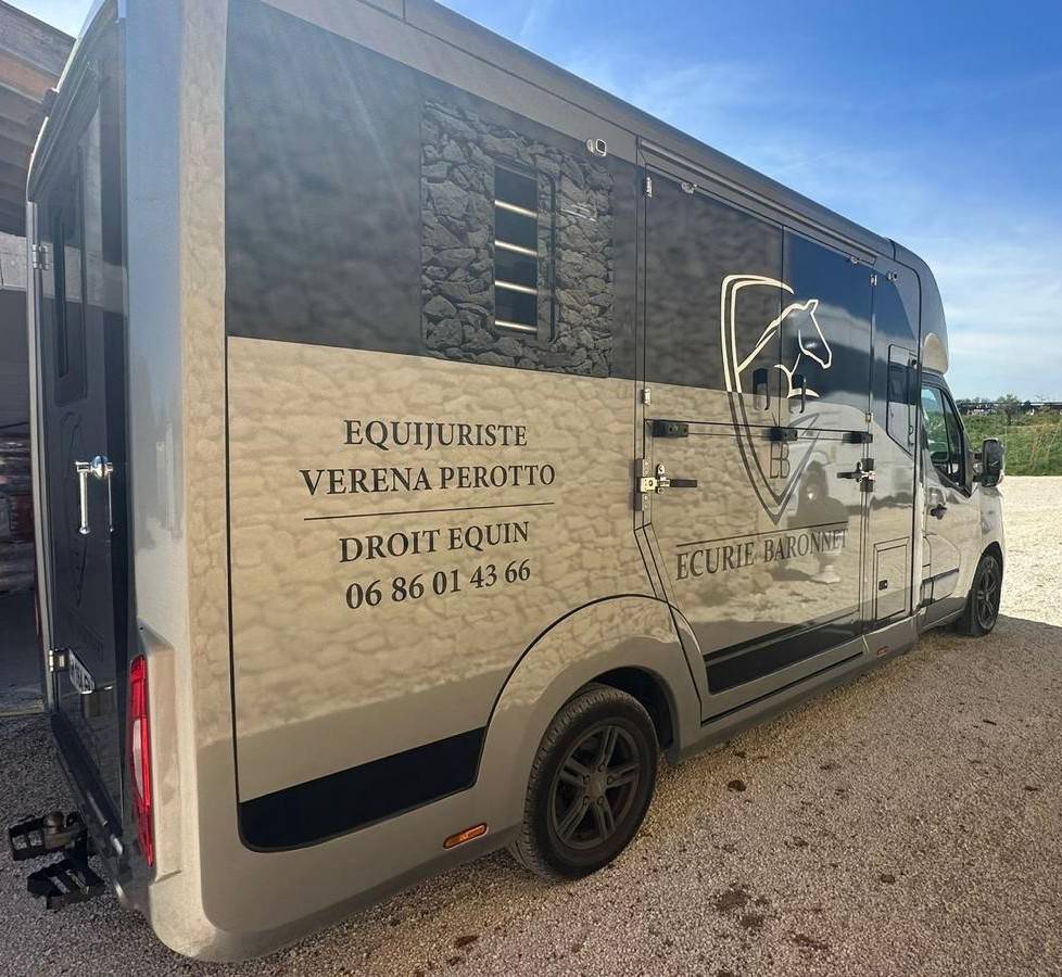 Kleine paardenvrachtwagen (B rijbewijs) Renault STX 2023 Tweedehands
