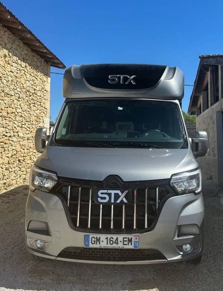 Kleine paardenvrachtwagen (B rijbewijs) Renault STX 2023 Tweedehands