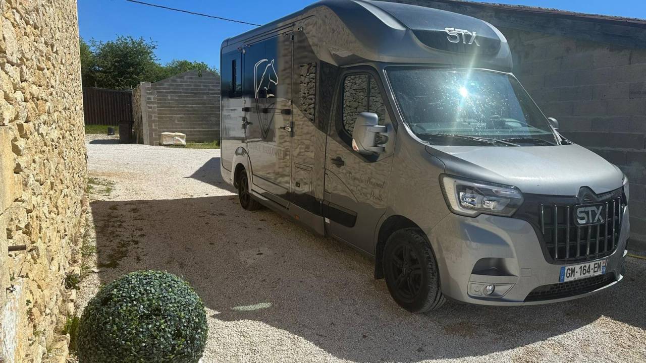 Kleine paardenvrachtwagen (B rijbewijs) Renault STX 2023 Tweedehands