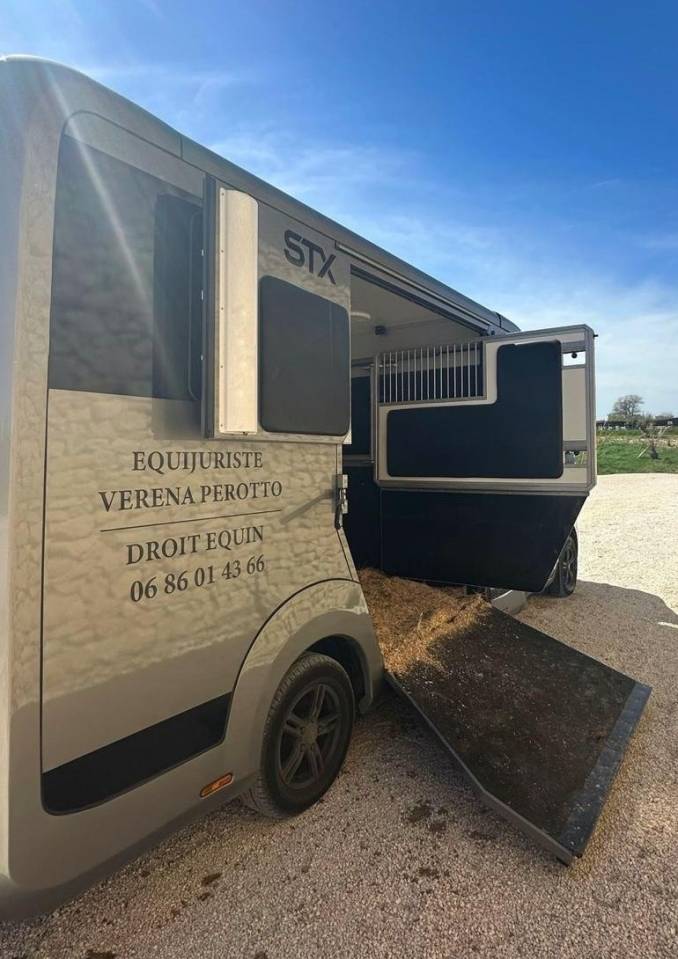 Kleine paardenvrachtwagen (B rijbewijs) Renault STX 2023 Tweedehands