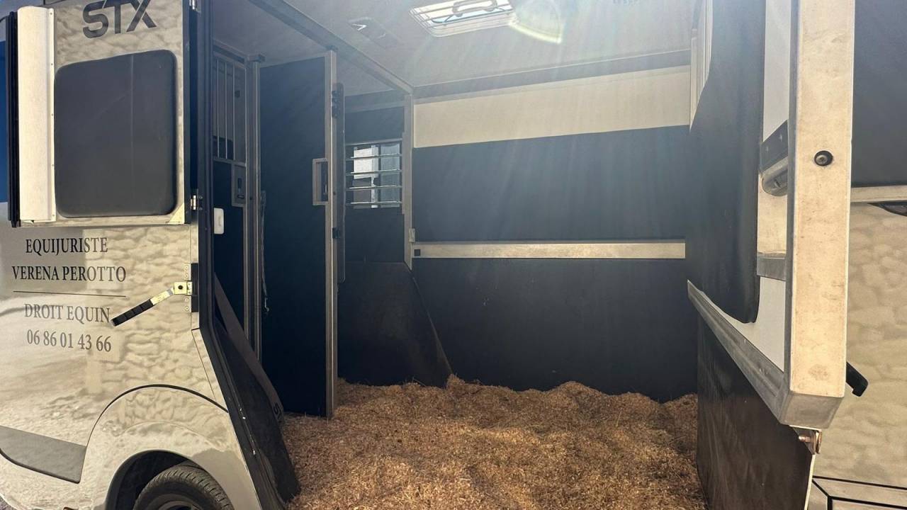 Kleine paardenvrachtwagen (B rijbewijs) Renault STX 2023 Tweedehands