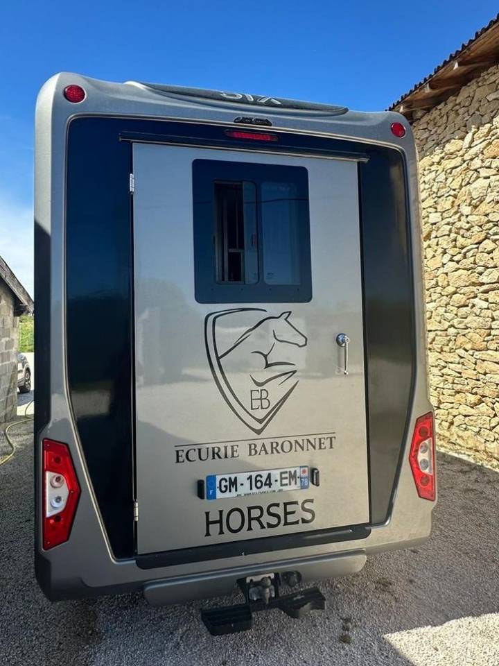 Kleine paardenvrachtwagen (B rijbewijs) Renault STX 2023 Tweedehands