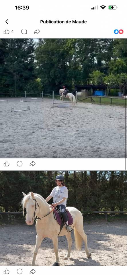 Ruin Spaans Normand Half pension 2019 Cr&egrave;me