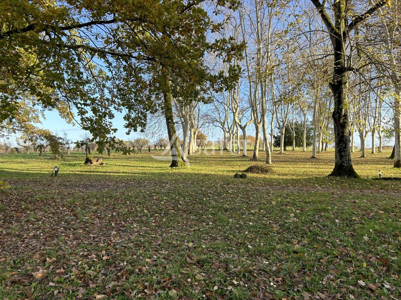 Landbouw bedrijf Koop Lot-et-Garonne