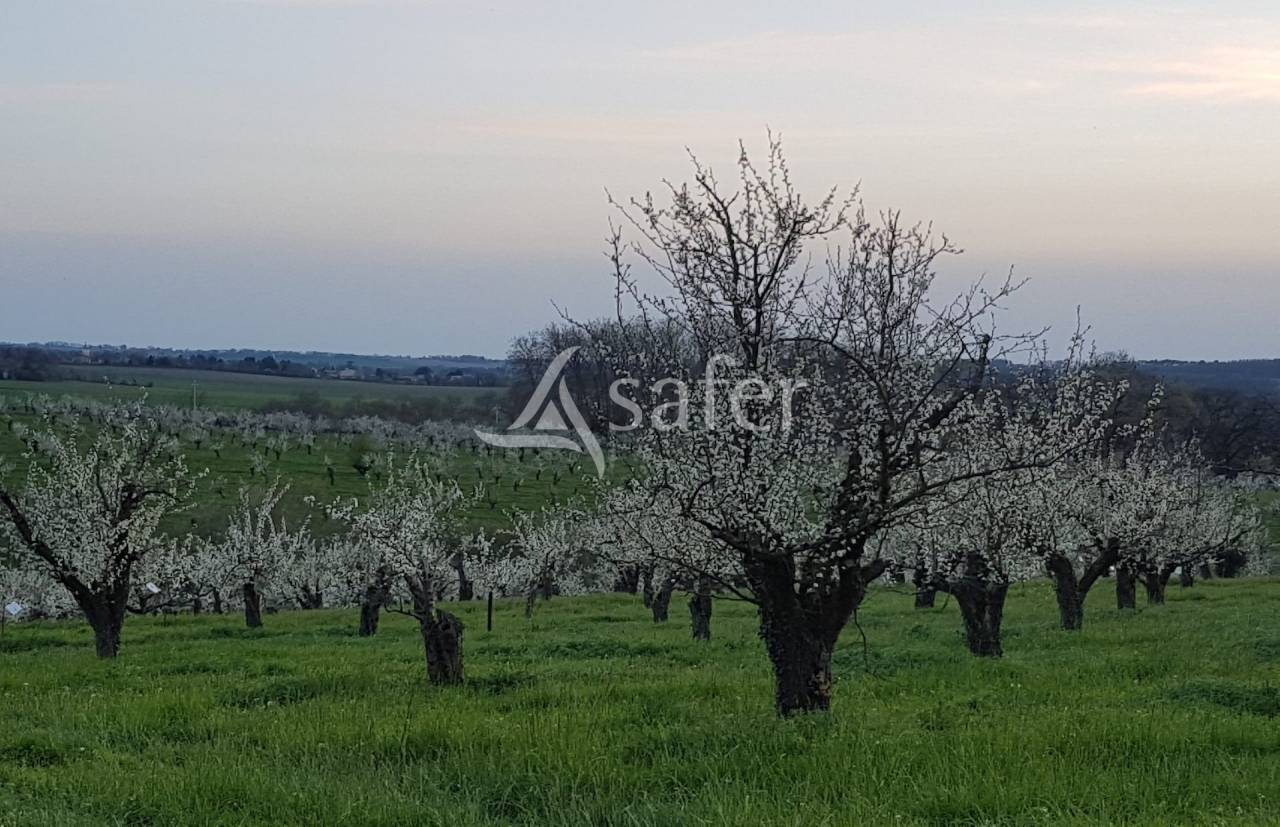 Landbouw bedrijf Koop Lot-et-Garonne