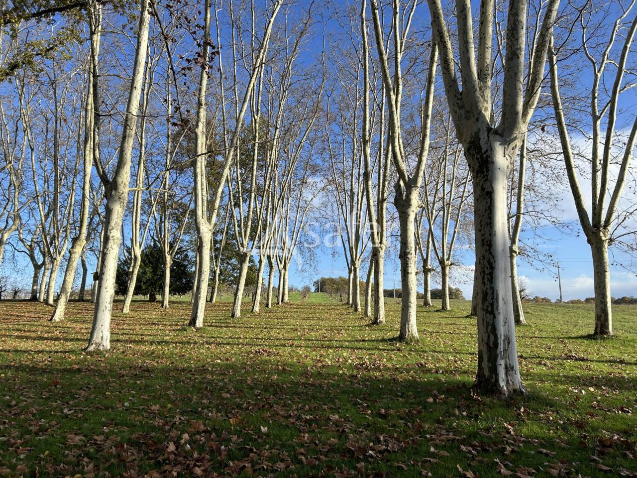 Landbouw bedrijf Koop Lot-et-Garonne