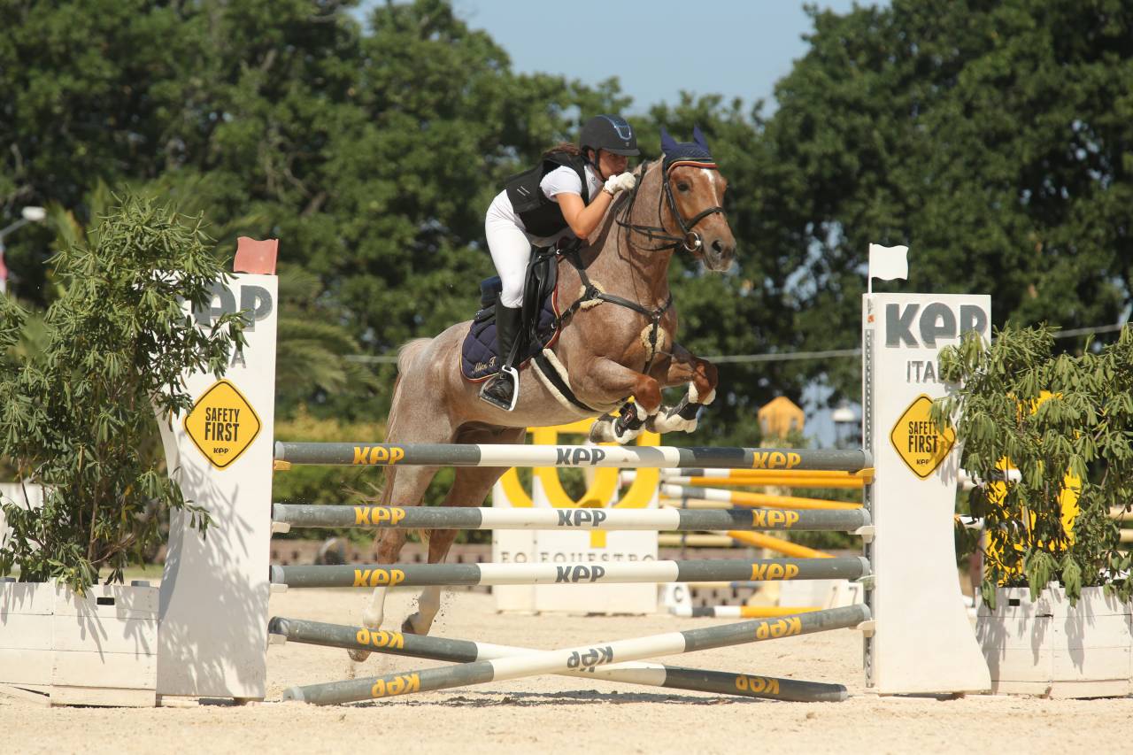 Ruin Engelse rijpony Te koop 2017 Bruinroan