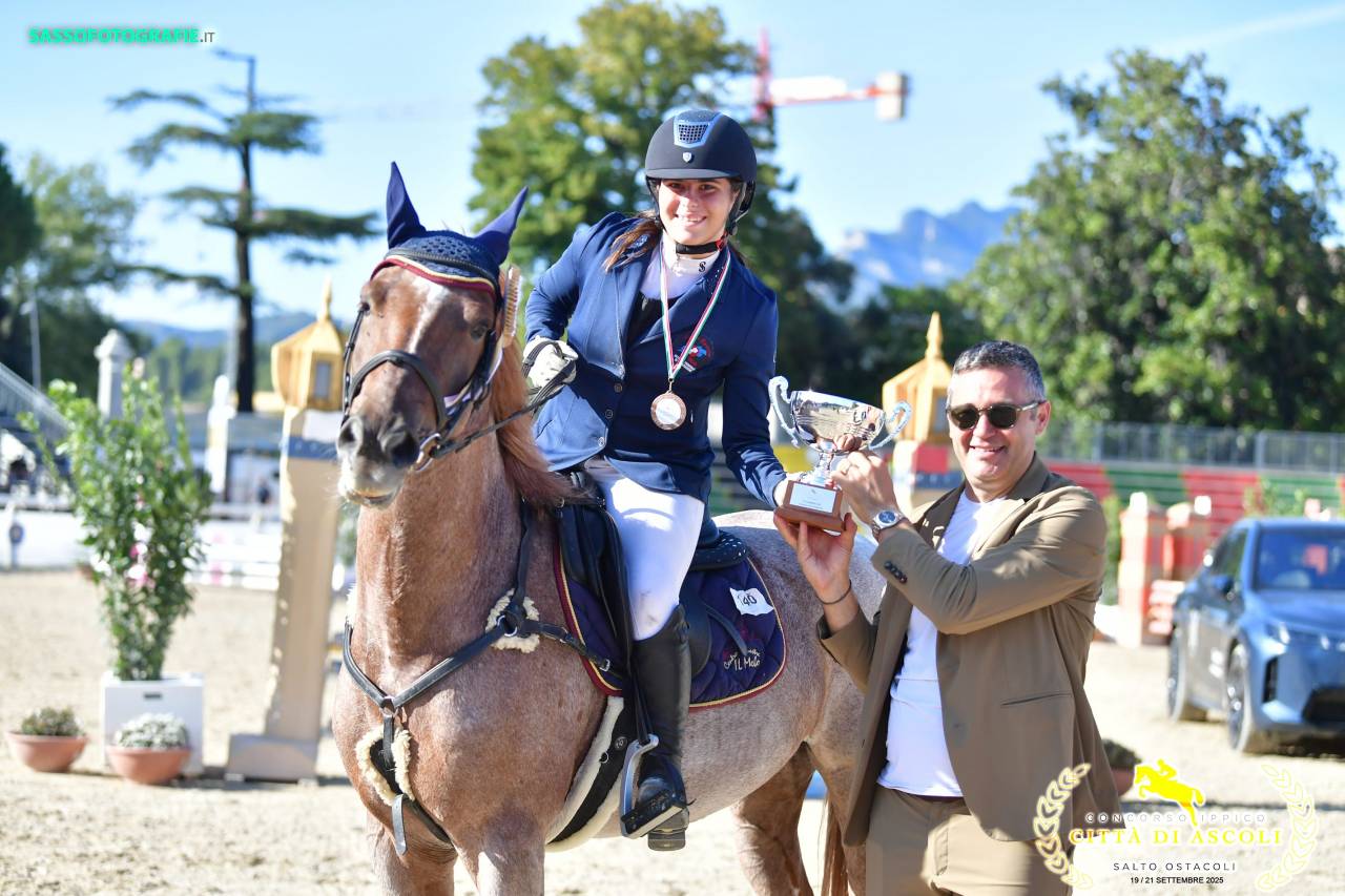Ruin Engelse rijpony Te koop 2017 Bruinroan