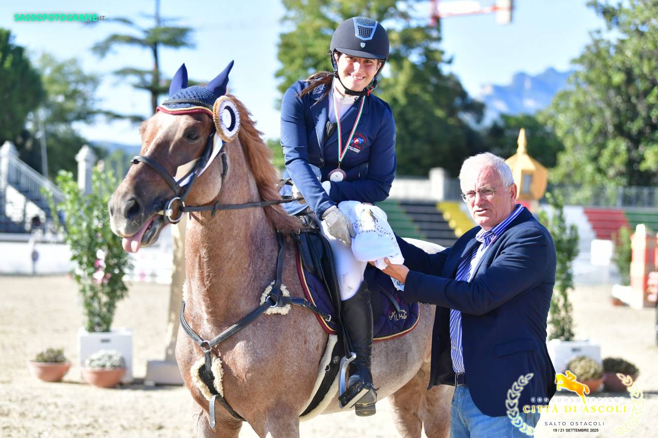 Ruin Engelse rijpony Te koop 2017 Bruinroan