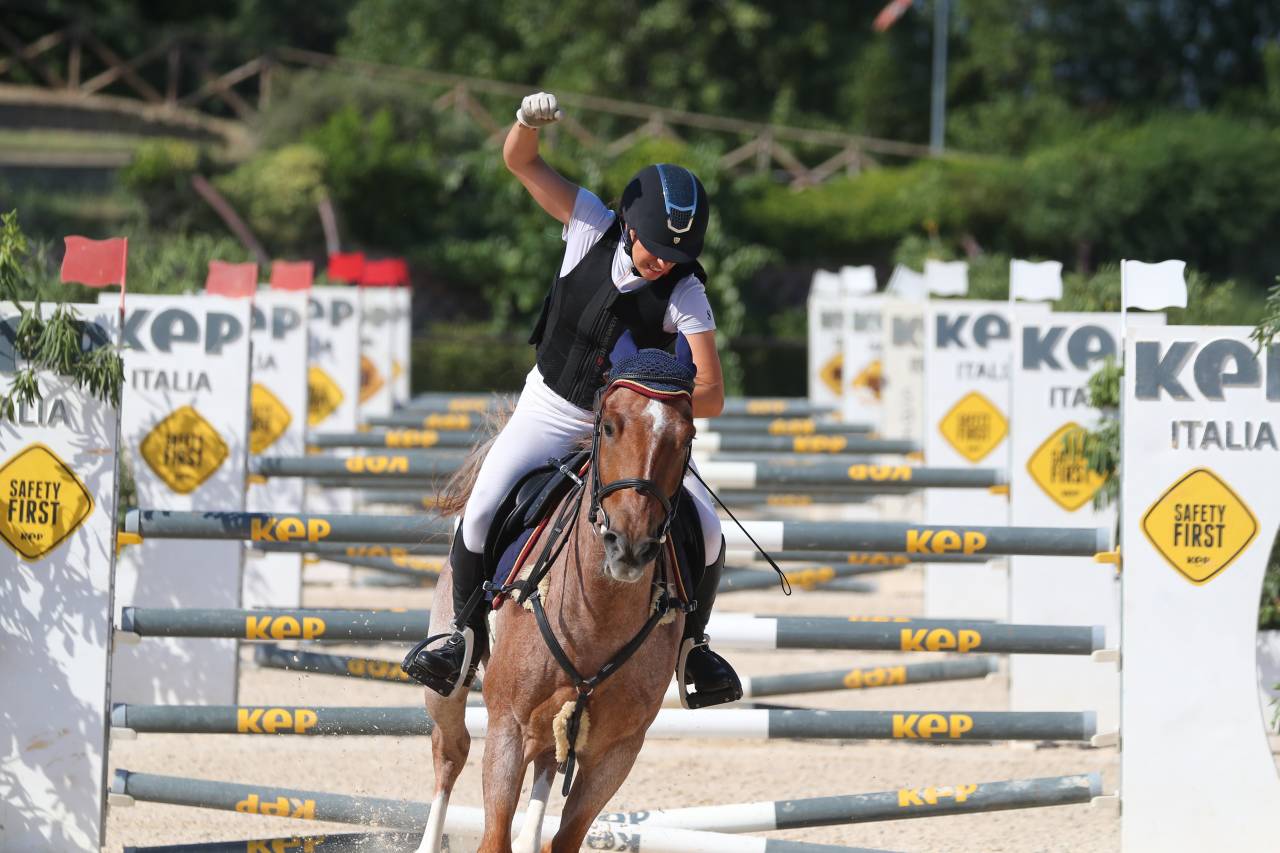 Ruin Engelse rijpony Te koop 2017 Bruinroan