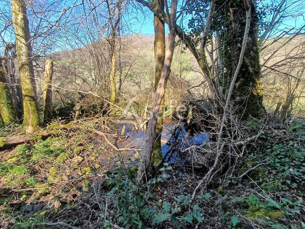 Landbouw bedrijf Koop Corr&egrave;ze