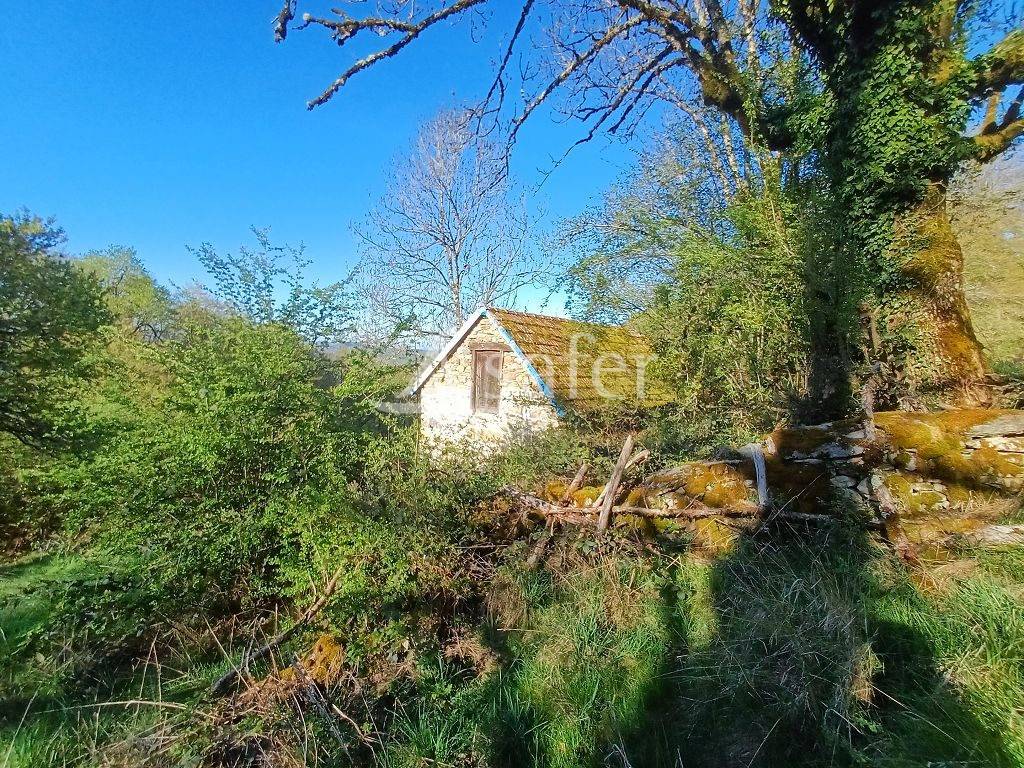 Landbouw bedrijf Koop Corr&egrave;ze
