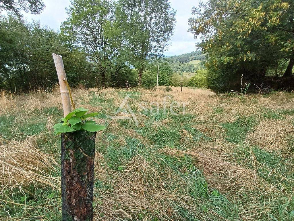 Landbouw bedrijf Koop Corr&egrave;ze