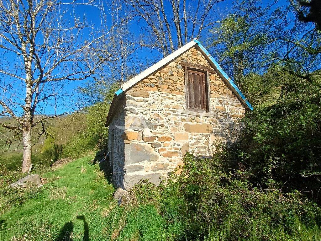 Landbouw bedrijf Koop Corr&egrave;ze