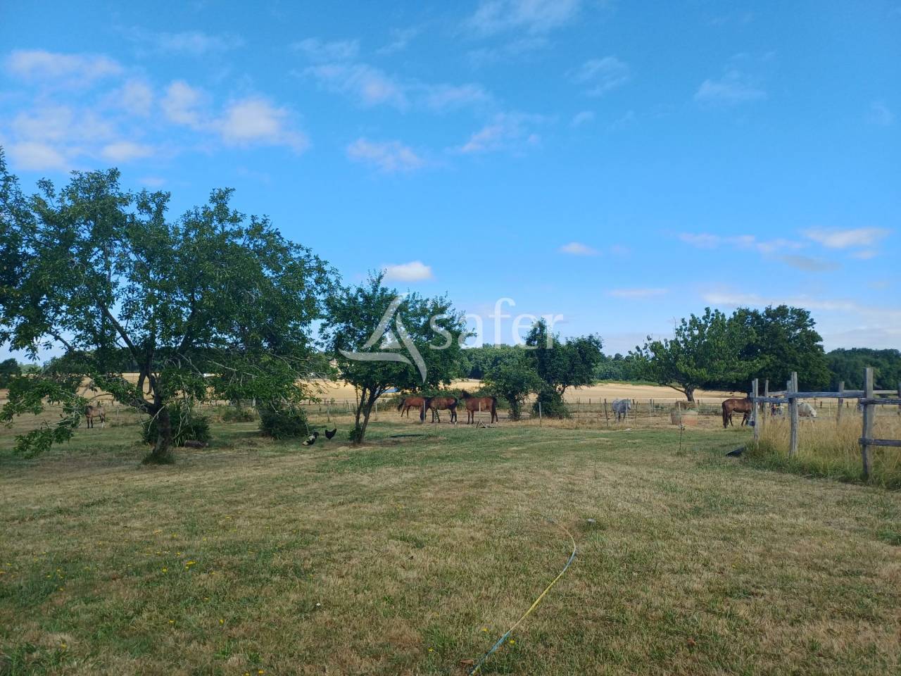Landbouw bedrijf Koop Charente-Maritime