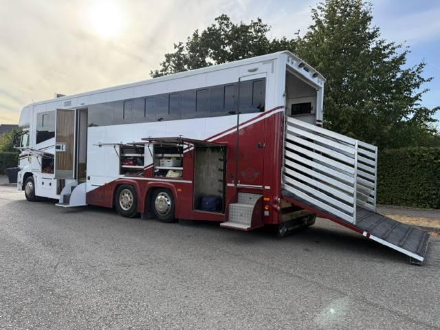 Kleine paardenvrachtwagen (B rijbewijs) Man TGS Empire Ultimate  2013 Tweedehands