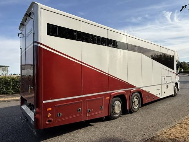 Kleine paardenvrachtwagen (B rijbewijs) Man TGS Empire Ultimate  2013 Tweedehands
