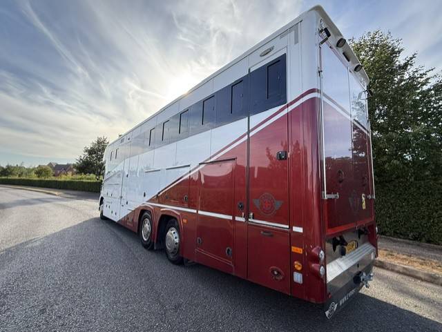 Kleine paardenvrachtwagen (B rijbewijs) Man TGS Empire Ultimate  2013 Tweedehands