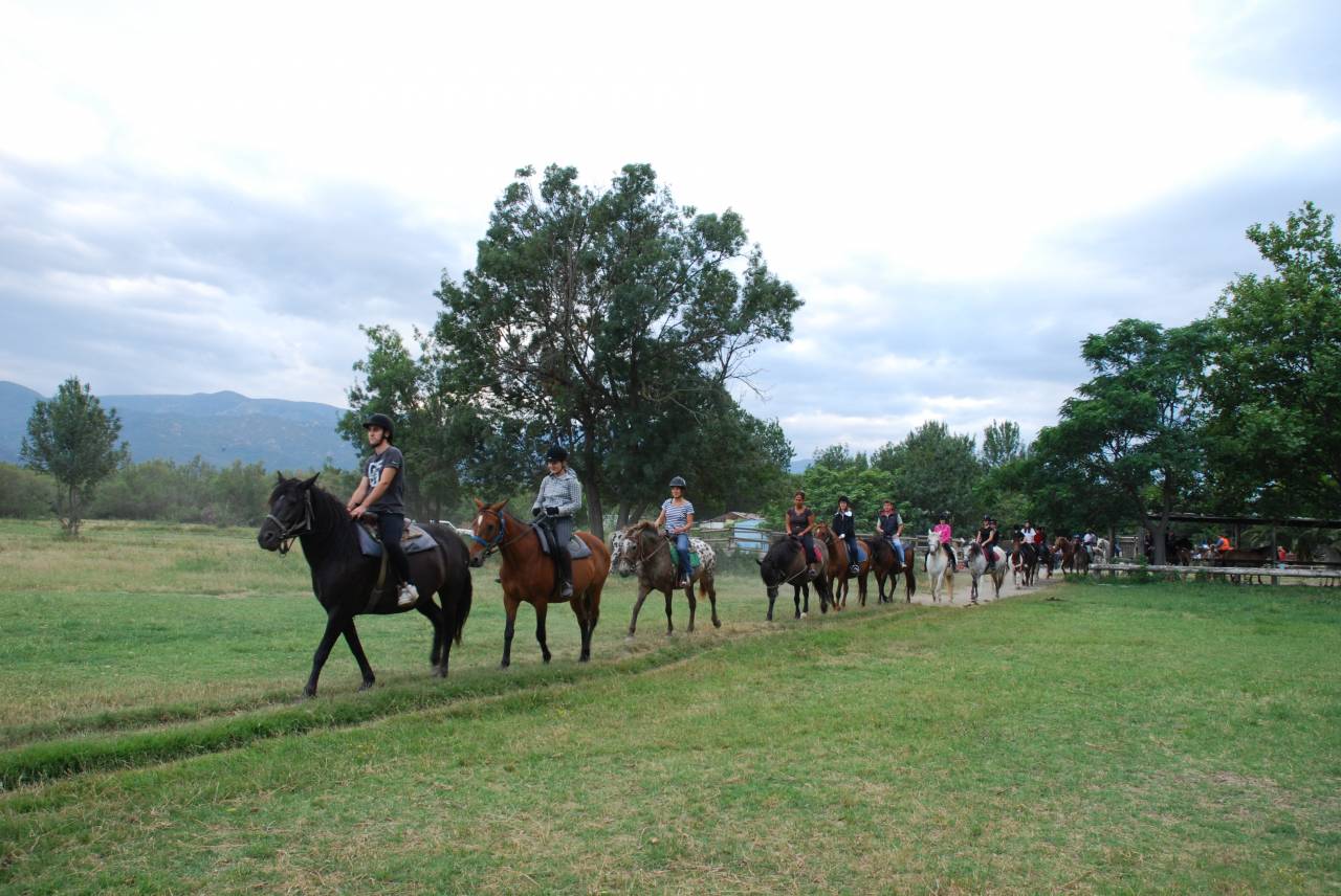 Ruiterclub Koop Pyr&eacute;n&eacute;es-Orientales