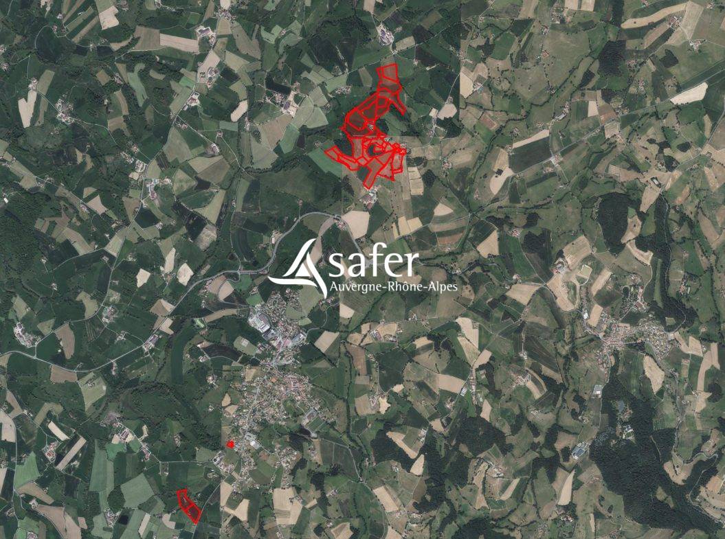 Schapen exploitatie Koop Rh&ocirc;ne